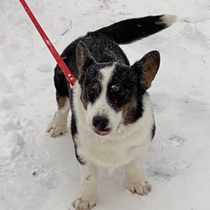 Meet your Posher, Camille